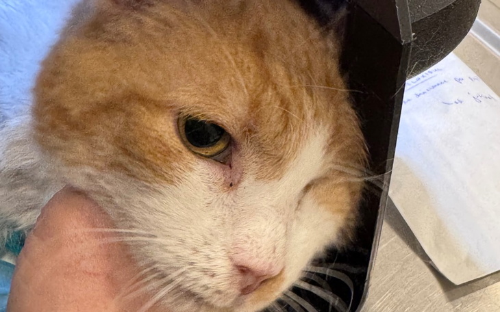 Kobieta w okularach przeciwsłonecznych przy drzewie.