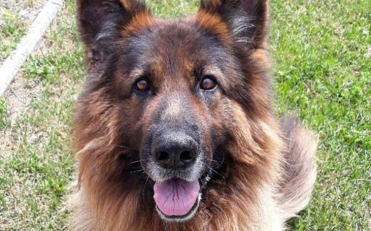 Zbiórka Na zabieg Hasana - zdjęcie główne