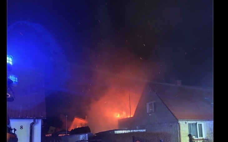 Szary kot z wyrazistymi oczami, leżący na kanapie.