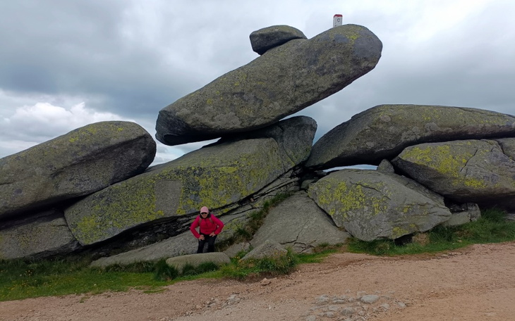 Zbiórka Nauka języka - zdjęcie główne