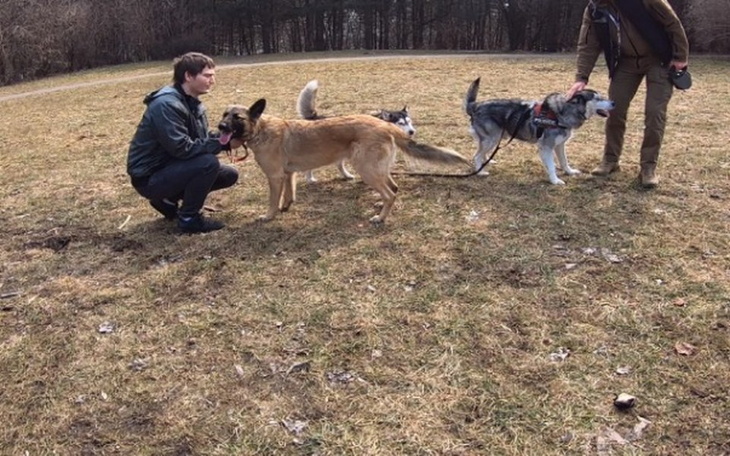 Zbiórka Ośrodek rehabilitacji psów - zdjęcie główne