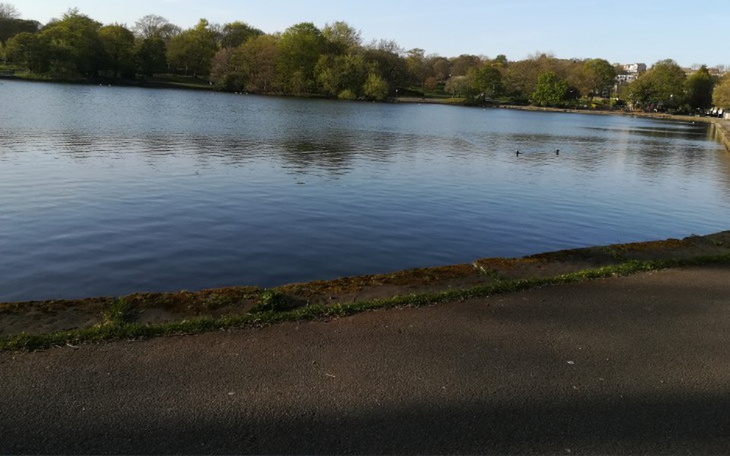 Zbiórka Na ksiazki - zdjęcie główne