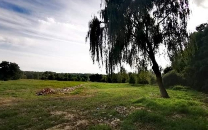 Zbiórka Działka na wakacje - zdjęcie główne