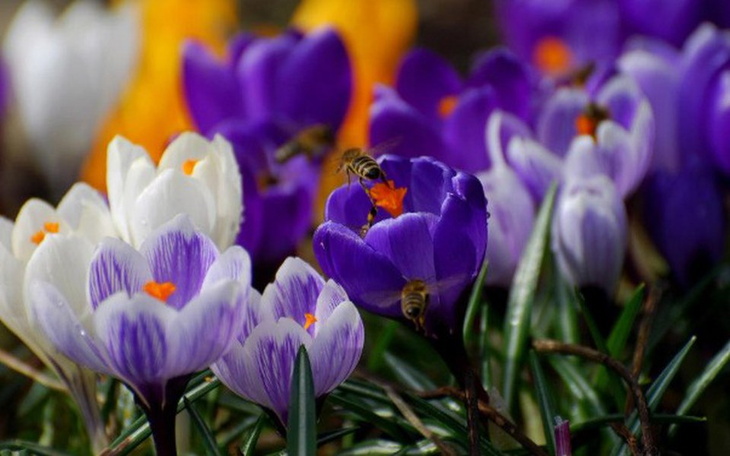 Zbiórka życie po bankructwie - zdjęcie główne