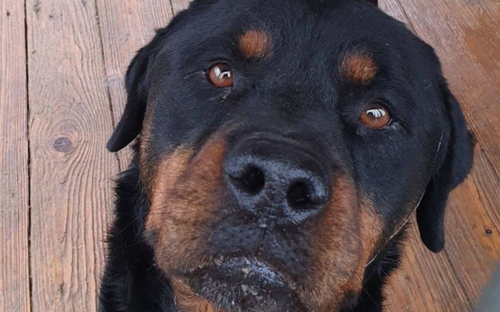 Zbiórka Lucjan z fabryki zła - zdjęcie główne