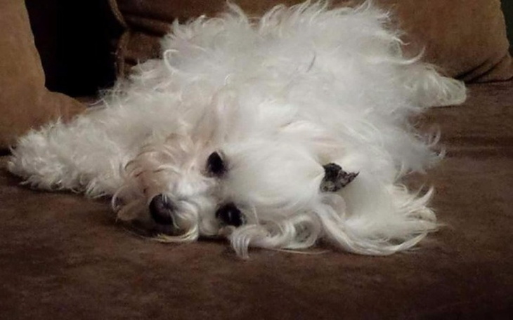 Zbiórka Żeby Maja znów mogła chodzić - zdjęcie główne