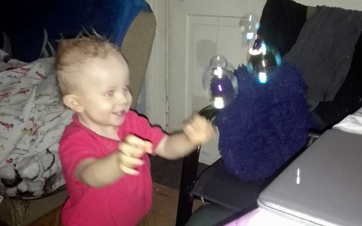 Zbiórka Na własny domek holenderski - zdjęcie główne