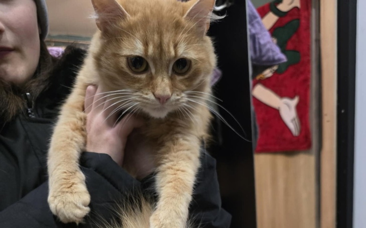 Zbiórka Start w lepsze życie... - zdjęcie główne