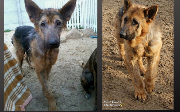 Zbiórka Pomóżcie nam dalej pomagać! - zdjęcie główne