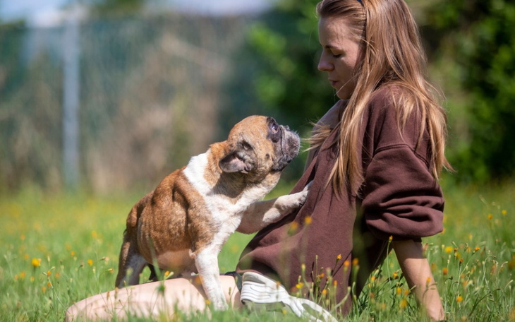 Zbiórka DRAMAT DUSZKI wspomóż leczenie - zdjęcie główne