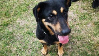 Zbiórka RIKO chce żyć bez bólu - miniaturka zdjęcia