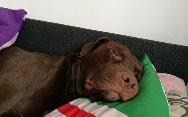 Zbiórka Pokonajmy tego złośliwca. - zdjęcie główne