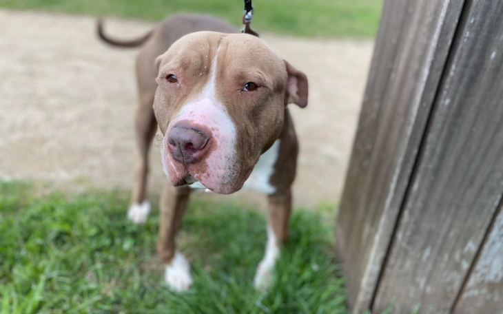 Zbiórka Krzywuś - zdjęcie główne