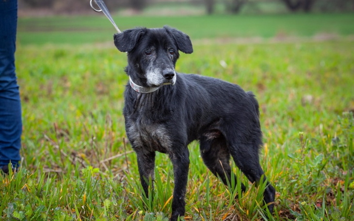 Zbiórka Skarbonka dla Gospela - zdjęcie główne