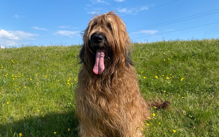 Zbiórka Mięsak- pomoc dla Leona - zdjęcie główne