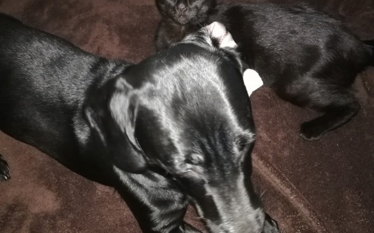 Zbiórka Rachunek za prąd - zdjęcie główne