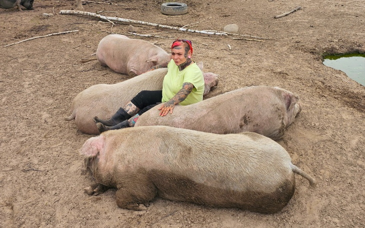 Zbiórka Przeżyć sierpień - zdjęcie główne