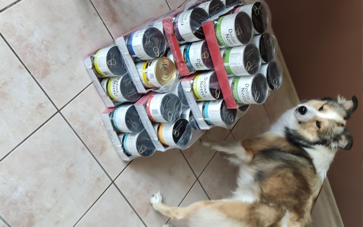 Zbiórka PAZ - Portal Adopcji Zwierząt - zdjęcie główne