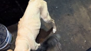 Zbiórka Za zamkniętymi drzwiami - miniaturka zdjęcia