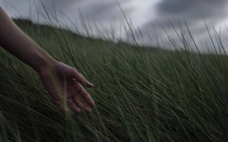 Ręka delikatnie dotykająca trawy na wzgórzu.