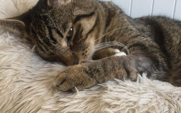 Zbiórka Urzad skarbowy chce mi wszystko - zdjęcie główne