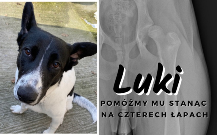 Zbiórka Luki - zdjęcie główne