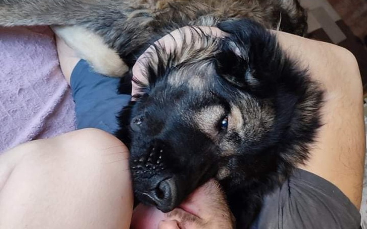 Zbiórka Fado potrzebuje pomocy - zdjęcie główne