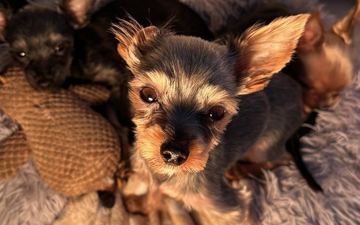 Zbiórka Drugie życie dla Maćka - zdjęcie główne