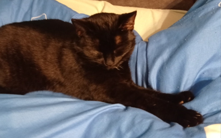 Zbiórka Na operację miednicy Fredka - zdjęcie główne