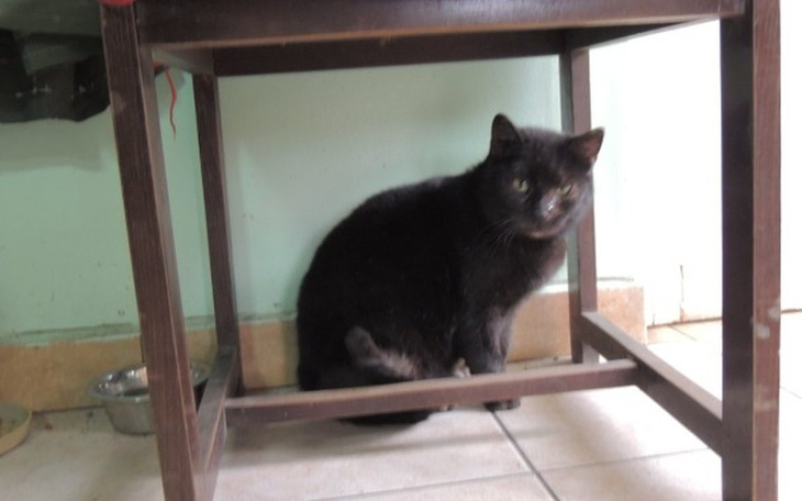 Zbiórka Podaruj Nali szansę na nowe życi - zdjęcie główne