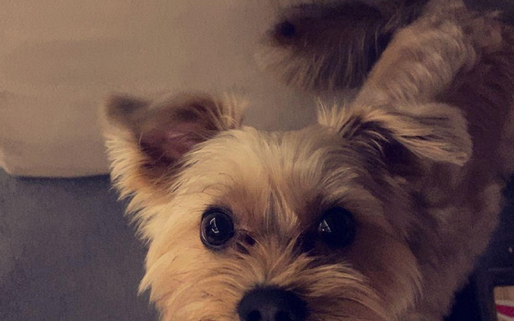 Zbiórka Na operację Rambusia - zdjęcie główne