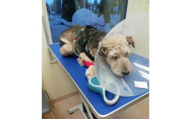 Zbiórka Operacja uratowała mu życie - zdjęcie główne