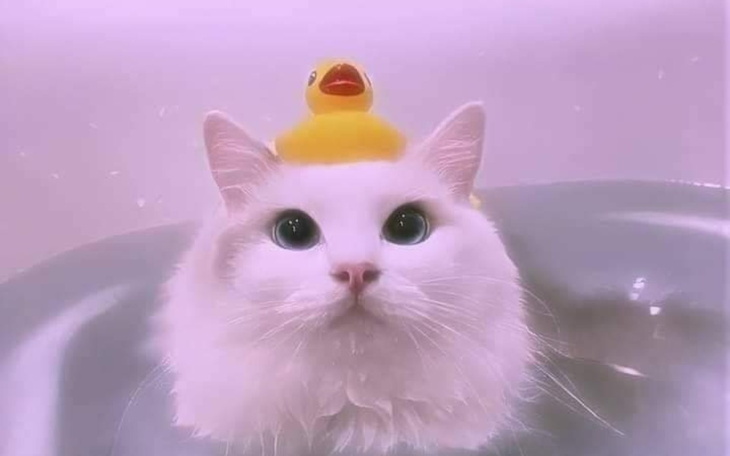 Zbiórka kasy potrzebuję - zdjęcie główne