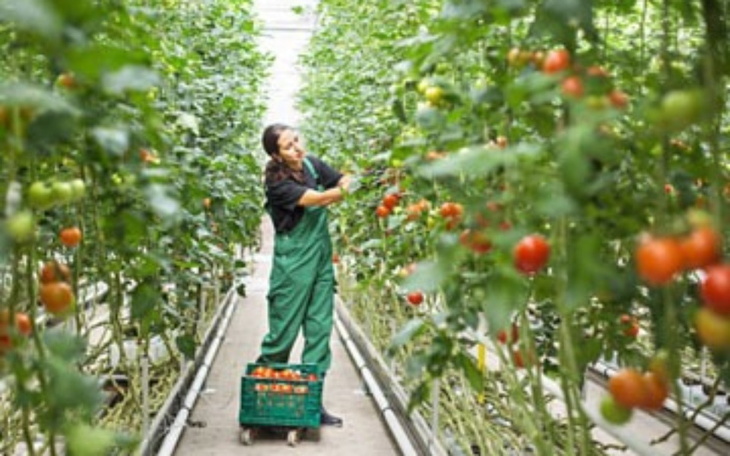 Zbiórka Na wymarzone ferie - zdjęcie główne