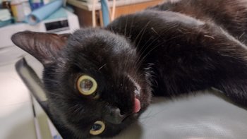 Zbiórka Pomóż nam pomagać - miniaturka zdjęcia