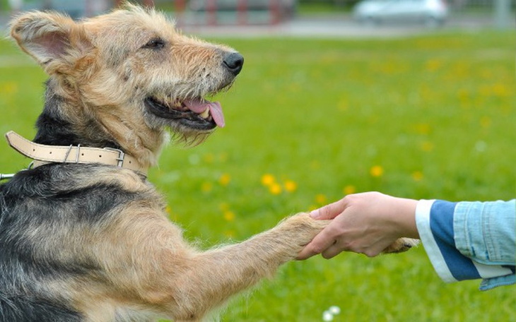 Zbiórka Dom i jedzenie dla dziewczyn! - zdjęcie główne