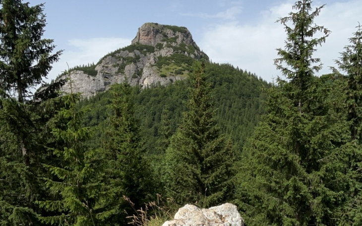 Zbiórka Odpoczynek dla rodziców, - zdjęcie główne