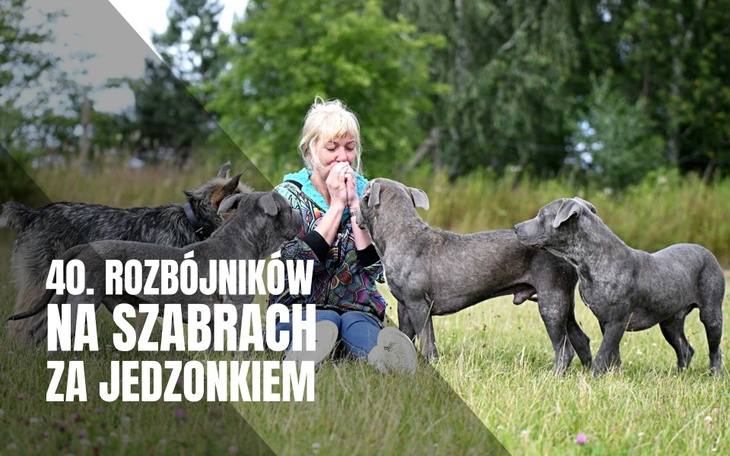 Zbiórka 40 rozbójników na szabrach - zdjęcie główne