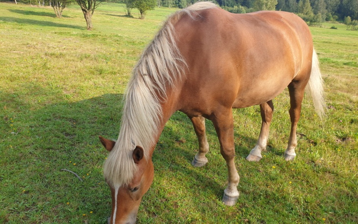 Zbiórka Zbieram na moje marzenia... - zdjęcie główne
