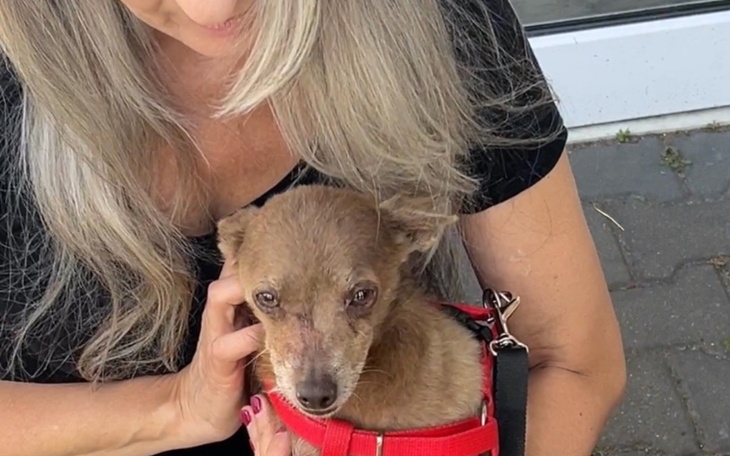 Zbiórka Zbiórka urodzinowa Kasi Szwarc - zdjęcie główne