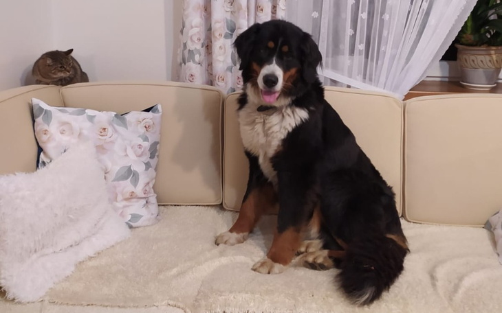 Zbiórka Sara - leczenie nowotworu - zdjęcie główne