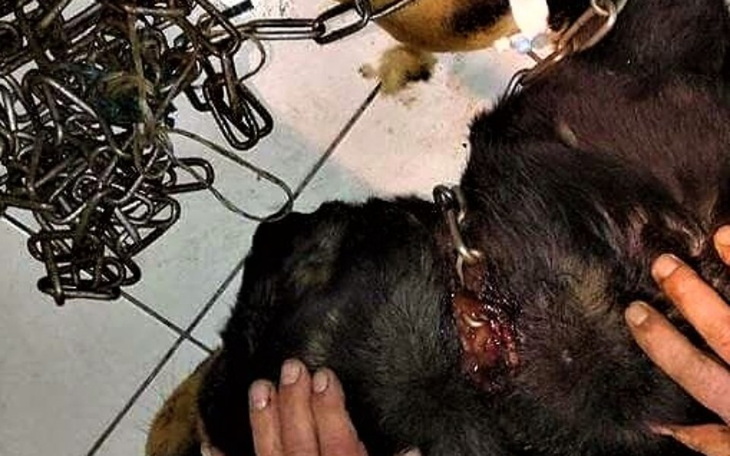 Zbiórka "Kraina Pomocnych Bubinków" - zdjęcie główne