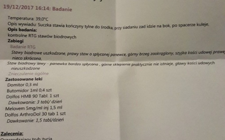 Zbiórka Operacja stawu- dysplazja - zdjęcie główne