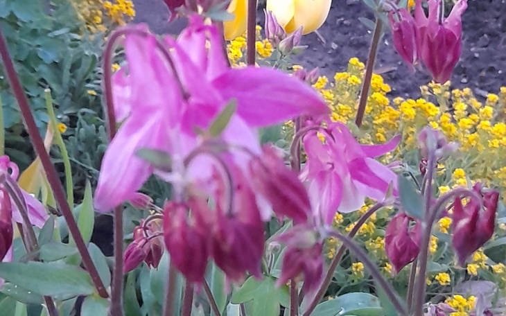 Zbiórka Nieaktualne nie wpłacać - zdjęcie główne