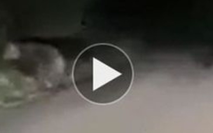 Zbiórka ESm - zdjęcie główne