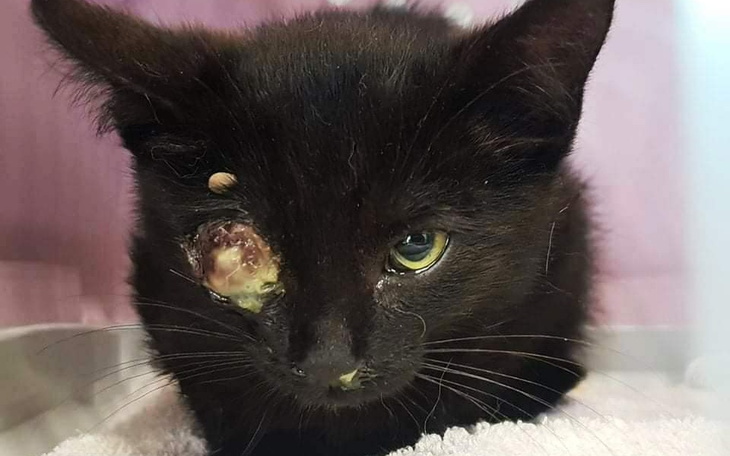 Zbiórka One czasu nie mają. - zdjęcie główne