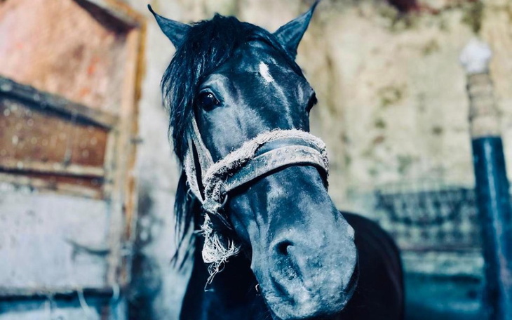 Zbiórka Zoli nie zostało wiele czasu - zdjęcie główne