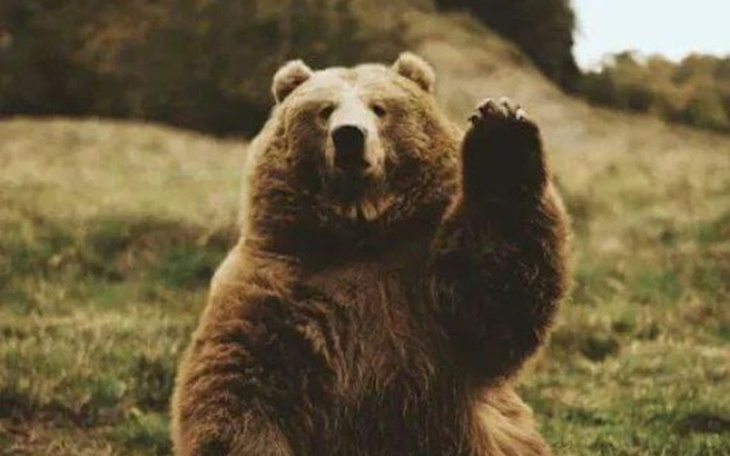 Zbiórka Zbieram na komputer321 - zdjęcie główne