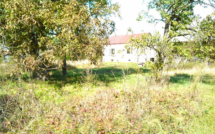 Zbiórka spłacę komornika - zdjęcie główne