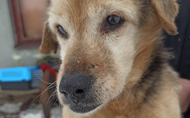 Zbiórka Biduś - latami cierpiał w ciszy - zdjęcie główne